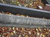 image of grave number 199105